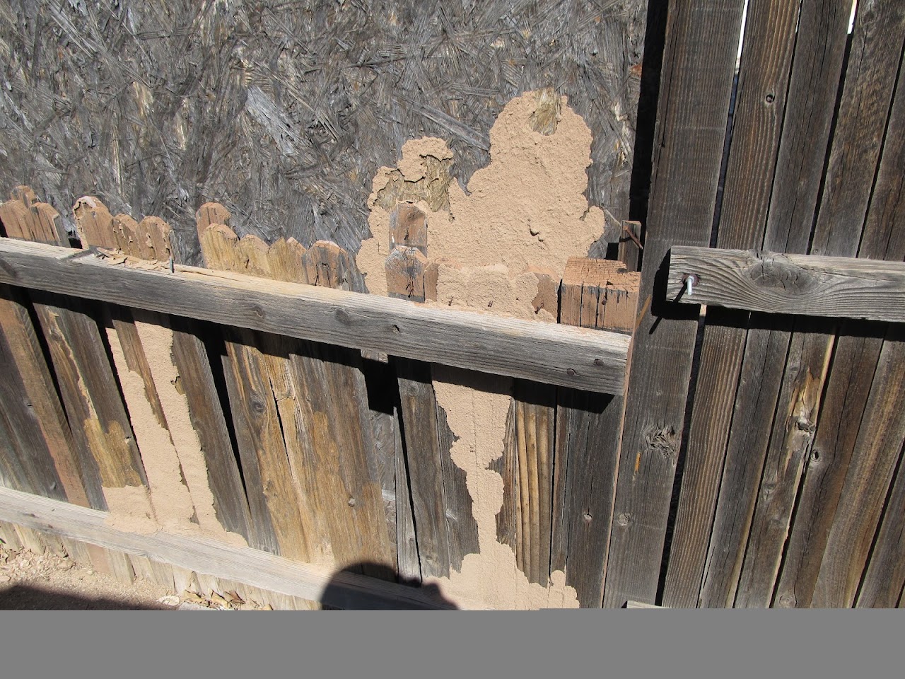 Bills Pest Termite Control project