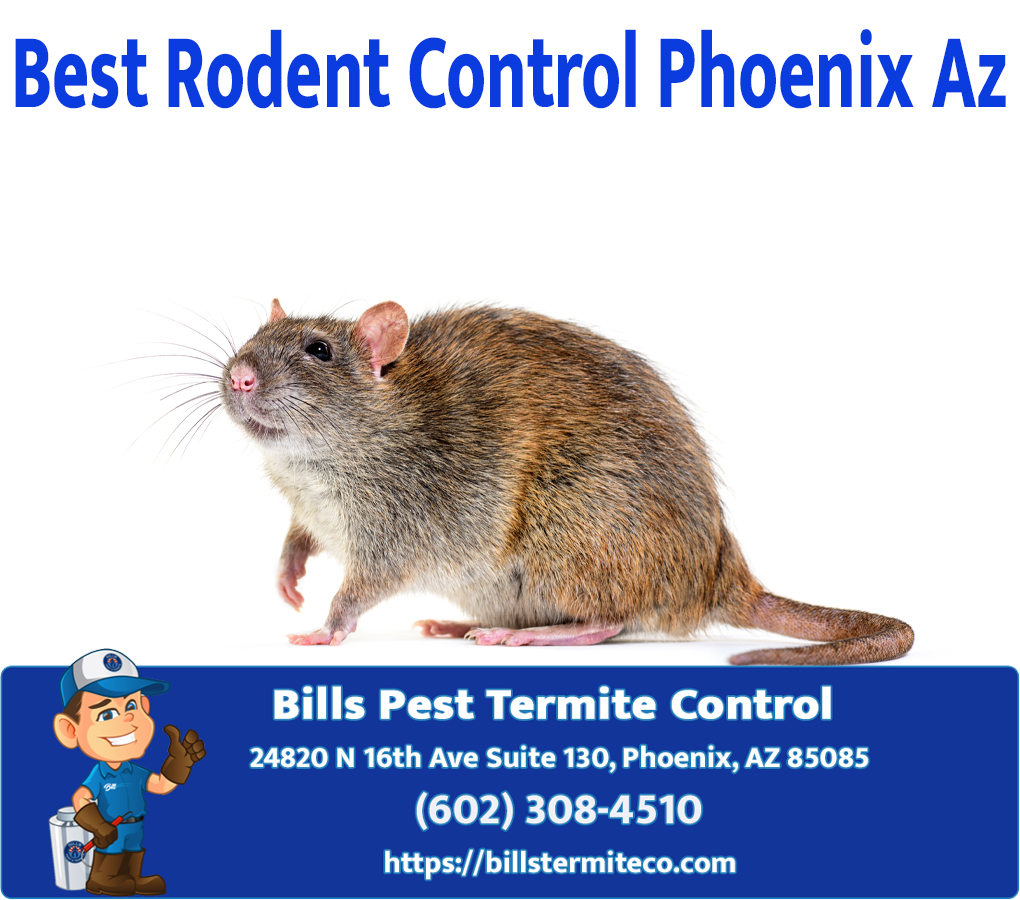 Bills Pest Termite Control project